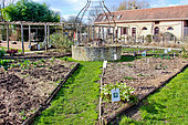 Vegetable garden in winter, Arche de la Nature, Le Mans, Sarthe, France