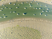 Fishing boats in the Carreras river and its adjacent marshland at low tide. Aerial view. Drone shot. Huelva province, Andalusia, Spain.