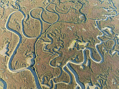Network of channels and streams at low tide. In the marshland of Isla Cristina. Aerial view. Drone shot. Huelva province, Andalusia, Spain.