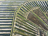 Saline ponds at the salt works of Isla Cristina. Aerial view. Drone shot. Huelva province, Andalusia, Spain.