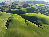 Undulated farmland and cracks caused by streams in the Campiña Cordobesa, the fertile rural area south of the town of Córdoba. Aerial view. Drone shot. Córdoba province, Andalusia, Spain.