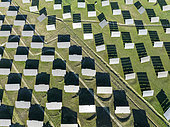 Rows of solar panels at a photovoltaic plant near town of Espejo. Aerial view. Drone shot. Córdoba province, Andalucía, Spain.