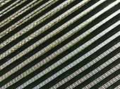 Rows of solar panels at a photovoltaic plant near the town of Espejo. Aerial view. Drone shot. Córdoba province, Andalucía, Spain.
