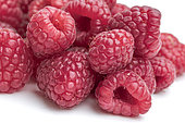 Raspberry 'Pink Star'