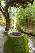 Jardin Botanique de Vauville, Jardin du Voyageur, Manche, Normandy, France