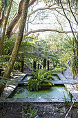 Jardin Botanique de Vauville, Jardin du Voyageur, Manche, Normandy, France