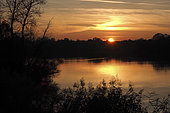 Sunset on the German side of the Rhine, Rhinau, Taubergiessen, Germany