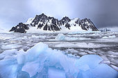 Large fragments of drifting ice floating in front of the black peaks of the Antarctic Peninsula. climate ice melt global warming. Marguerite Bay, George VI Channel, expedition below the South Polar Circle in Antarctica.