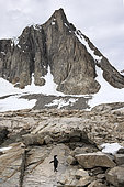 Adelie penguins (Pygoscelis adeliae) climbing a mountain on the Antarctic Peninsula, climate melting global warming. Marguerite Bay, George VI Channel. Expedition below the South Polar Circle in Antarctica