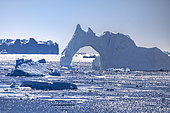 Icebergs and fragments of drifting ice, here an iceberg arch floating in the southern sea, climate ice melt global warming. Marguerite Bay, George VI Channel, Expedition below the South Polar Circle in Antarctica