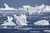 Iceberg and large fragments of drifting ice, here iceberg floating in front of the Antarctic Peninsula, climate melting global warming. Marguerite Bay, George VI Channel. Expedition below the South Polar Circle in Antarctica