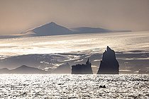 Iceberg et gros fragments de glace a la dérive, ici dans la lumière d'un soir d'été des icebergs géants flottant sur la mer australe en contre jour devant les glaciers de la péninsule antarctique, climat fonte des glaces réchauffement climatique. Baie Marguerite, canal George VI, Expédition en dessous du cercle polaire sud en antarctique