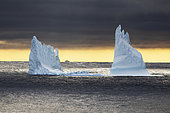 Icebergs and large fragments of drifting ice, here a giant iceberg floating in the light of a southern night. climate ice melt global warming. Marguerite Bay, George VI Channel, Expedition below the South Polar Circle in Antarctica.