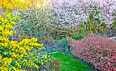 Spring flowers in the garden, Sarthe, Pays de la Loire, France