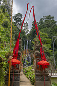 Gitgit waterfall. Island of Bali. Indonesia