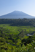 Mount Agung and rice fields. Island of Bali. Indonesia
