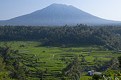 Mount Agung and rice fields. Island of Bali. Indonesia