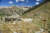 Col de la valette (2355 m), Mercantour National Park, Alps, France