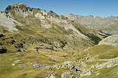 Upper Tinée valley, near Col de la Bonette, Mercantour National Park, Alps, France