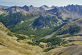 Upper Tinée valley, near Col de la Bonette, Mercantour National Park, Alps, France