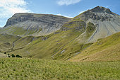 Haute Ubaye valley. from the Col de Vars road (2110 m), towards Grand Bérard (3048 m), Alpes de Haute Provence, France