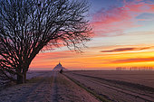 Mont St Michel Bay, winter sunrise, Normandy, France