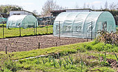 Plastic greenhouses in the allotment garden, Allonnes, Sarthe, France