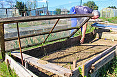 Gardener in front of his glass frame, Sarthe, France