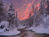 River Kitkajoki at Myllykoski. Winter in Oulanka national park (Oulangan kansallispuisto) in Lapland. Europe, Northern Europe, Finland, Scandinavia