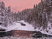 River Kitkajoki at Myllykoski. Winter in Oulanka national park (Oulangan kansallispuisto) in Lapland. Europe, Northern Europe, Finland, Scandinavia