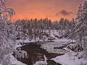 River Kitkajoki at Myllykoski. Winter in Oulanka national park (Oulangan kansallispuisto) in Lapland. Europe, Northern Europe, Finland, Scandinavia