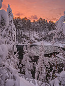River Kitkajoki at Myllykoski. Winter in Oulanka national park (Oulangan kansallispuisto) in Lapland. Europe, Northern Europe, Finland, Scandinavia