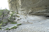 Cueva del Milodón Natural Park, near Puerto Natales, Magallanes Region and Chilean Antarctica, Chile