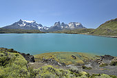 Lago Pehoé and view of Cerro Paine Grande, Torres del Paine National Park, Magallanes Region and Chilean Antarctica, Chile