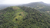 Wooded hillside, Matoury, French Guiana