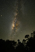 Milky Way over the Amazon rainforest, French Guiana