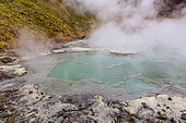 Lake Oku no Yu, Jigokudani geothermal site, Noboribetsu, Hokkaido Island, Japan. This is an acidic lake with the same sulphurous properties as its neighbor, Lake Oyunuma, Jigokudani, Noboribetsu, Hokkaido Island, Japan.