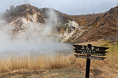 Oyunuma sulfur lake, Jigokudani, Noboribetsu, Hokkaido island, Japan. Lake Oyunuma was formed by the eruption of a volcano. It is an acidic lake with high temperatures (45° at the surface and up to 130° at depth). The lake is monitored for possible phreatic explosions.