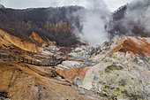 Jigokudani geothermal site, Noboribetsu, Hokkaido Island, Japan. Geothermal area known as "Jigokudani", the valley of hell. Aptly named, with boiling pots, small geysers and other geothermal phenomena. They offer astonishing colors on Hiyoriyama Mountain.