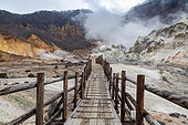 Pontoon overlooking the Jigokudani geothermal site, Noboribetsu, Hokkaido Island, Japan. Noboribetsu, on the southeastern island of Hokkaido, is a spa town considered to be one of the most important in Japan. The town center is home to a geothermal zone known as "Jigokudani", the valley of hell.