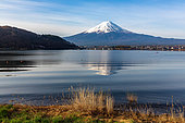 Mount Fuji, from Lake Kawagashi, Honshu Island, Japan. Mount Fuji is reflected in Lake Kawagashi, one of the 5 Fuji lakes in the Fuji go-ko region.