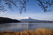 Mount Fuji, from Lake Kawagashi, Honshu Island, Japan. Mount Fuji is reflected in Lake Kawagashi, one of the 5 Fuji lakes in the Fuji go-ko region.