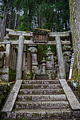 Tori in the Oku-noin necropolis, Japan's largest cemetery, Mount Koya, Osaka, Japan. This sacred necropolis encloses 200,000 tombstones, shaded by centuries-old japan cedars.