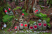 Jizô statuettes, in the Okunoin necropolis, Mount Koya, Osaka, Japan. Jizô are statuettes associated with compassion and healing in Buddhist culture. They often wear red bibs, as Jizô is considered the protector of children.