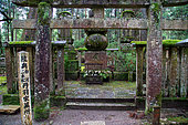 A tori overlooking a mortuary monument, Okunoin necropolis, Mount Koya, Osaka, Japan. Tombstones and memorial buildings are dedicated to the memory of great historical figures, samurai or ordinary people.