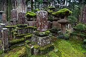 Tombstones in the Okunoin necropolis, Japan's largest cemetery, Mount Koya, Osaka, Japan. This sacred necropolis encloses 200,000 tombstones, shaded by centuries-old cedars. Koyasan Okunoin is the largest and most prestigious necropolis in the Japanese archipelago.