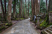 Central aisle of the Okunoin necropolis, Japan's largest cemetery, Mount Koya, Osaka, Japan. The Koyasan Okunoin is the largest and most prestigious necropolis in the Japanese archipelago, with 200,000 tombs.