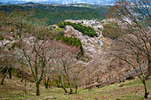 Mount Yoshino and the town of the same name, Nara Prefecture, Honshu Island, Japan. Mont Yoshino, a popular springtime destination, is a UNESCO World Heritage Site.