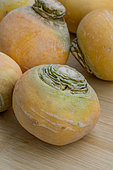 Turnip 'Gold Ball'