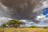 Heavy skies before the storm, Namibia, Africa
